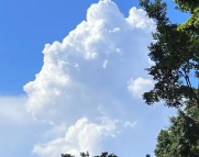 隆林天气预报,隆林7天天气预报,隆林15天天气预报,隆林天气查询